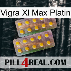 Vigra Xl Max Platinum new10